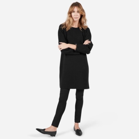 everlane sweater dress